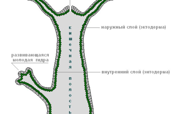 Счастье заказать