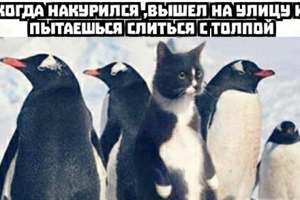 Кракен нет