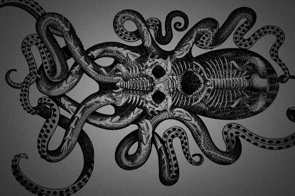 Kraken whitenet kraken whitenet 2n com