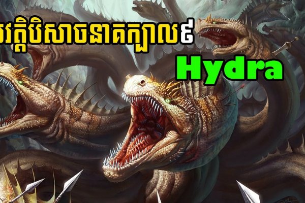 Кракен супернет поддержка