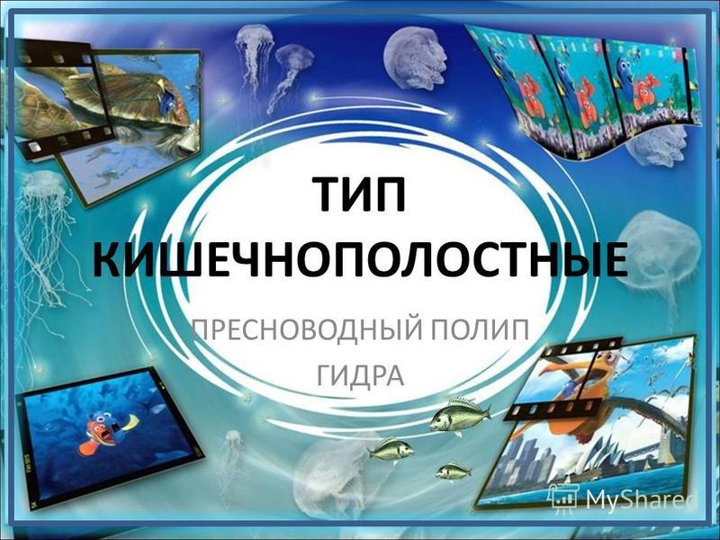 Кракен тор что это